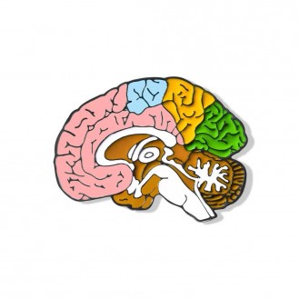 Брошь-значок унисекс BROCHE бижутерия Медицина Анатомия Мозг разноцветная BRGV113036