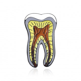 Брошь-значок унисекс BROCHE бижутерия Медицина Зуб с каналом разноцветная BRGV113383