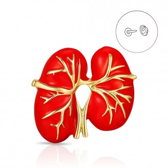 Брошь-значок BROCHE бижутерия Медицина Анатомия Почки красная BRGV114912