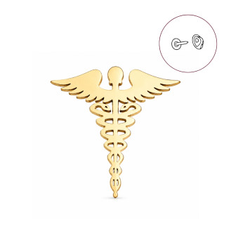 Значок из стали BROCHE брошь бижутерия Медицина Кадуцей золотистый BRGV114959