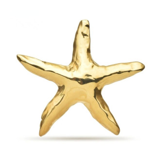 Брошь BROCHE бижутерия из стали Морская Звезда золотистая BRBF115152
