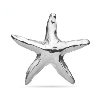 Брошь BROCHE бижутерия из стали Морская Звезда серебристая BRBF115153