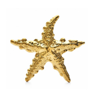 Брошь BROCHE Морская Звезда из стали золотистая BRBF115486