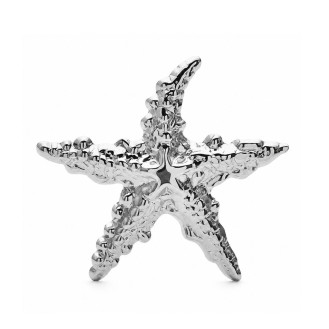 Брошь BROCHE Морская Звезда из стали серебристая BRBF115487