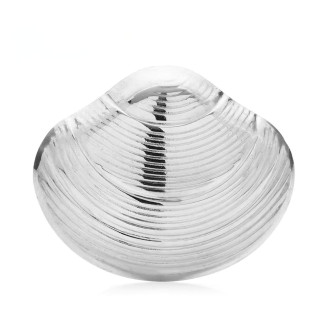 Брошь BROCHE Море Ракушка из стали серебристая BRBF115494