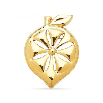 Брошь BROCHE Модерн Лимон из стали золотистая BRBF115509